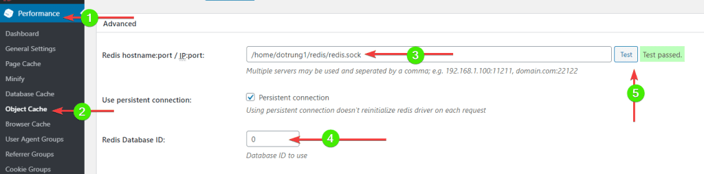 redis socket 6