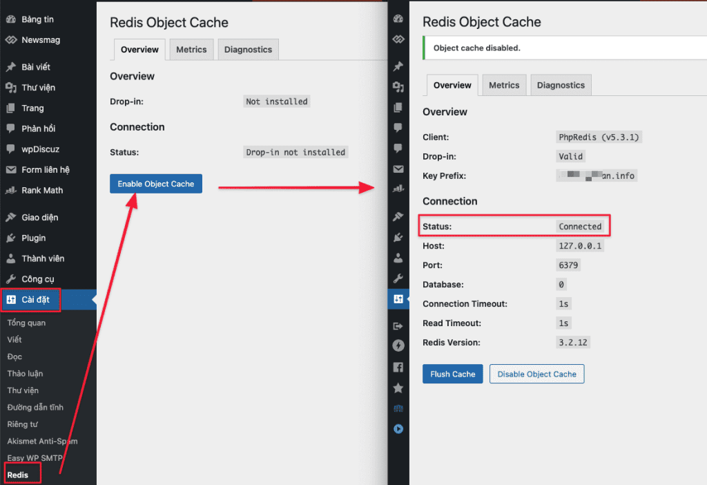 install Redis on DirectAdmin