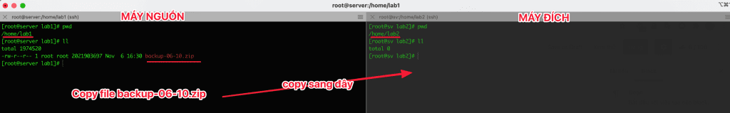 How to use SCP and RSYNC to migrate data on Linux