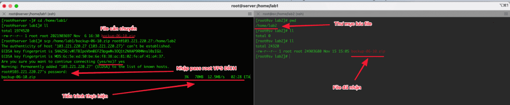 How to use SCP and RSYNC to migrate data on Linux