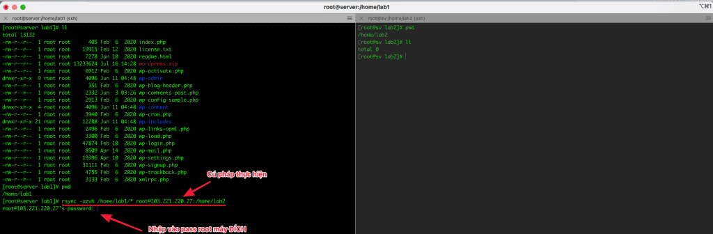 How to use SCP and RSYNC to migrate data on Linux