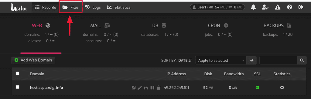 use File Manager on HestiaCP