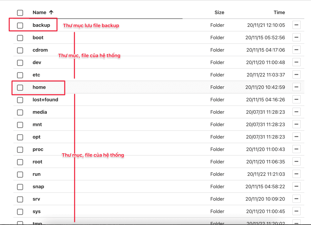 use File Manager on HestiaCP