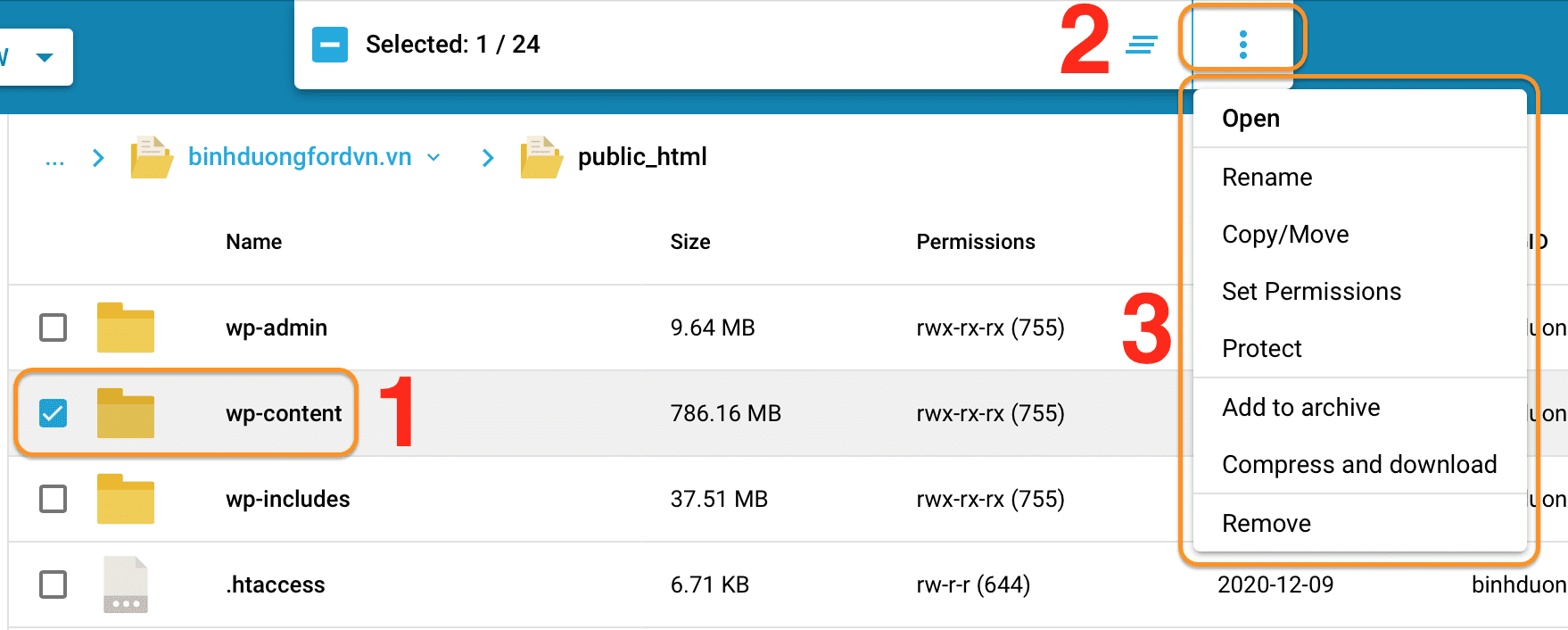 how-to-use-su-dụng-file-manager-directadmin