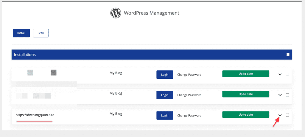 Hướng dẫn sử dụng WordPress Staging trên cPanel