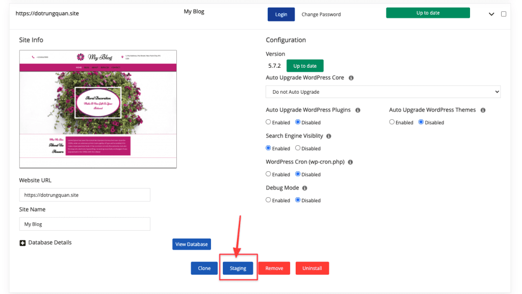 Hướng dẫn sử dụng WordPress Staging trên cPanel