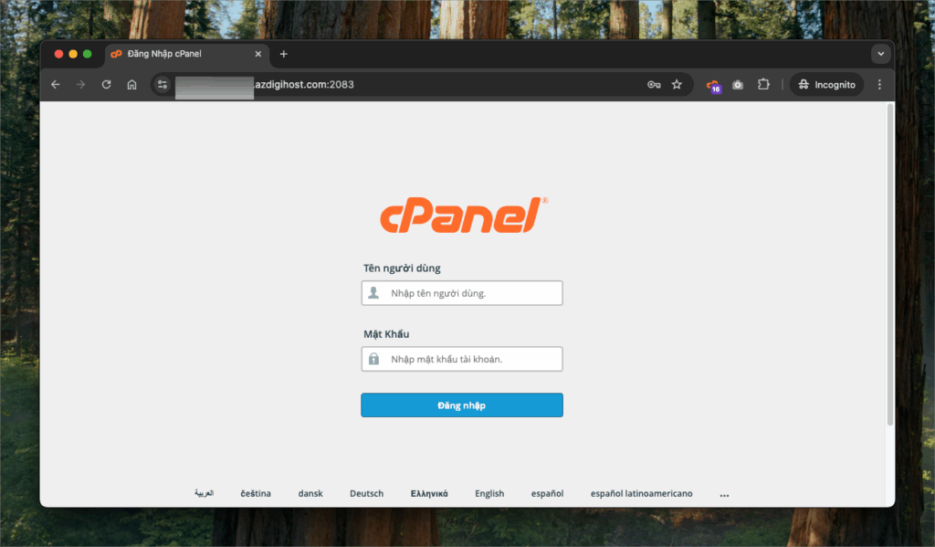 Hướng dẫn sửa DNS với tính năng Zone Editor trong cPanel