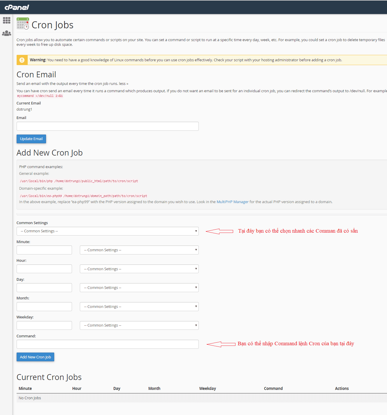 cran jobs cpanel