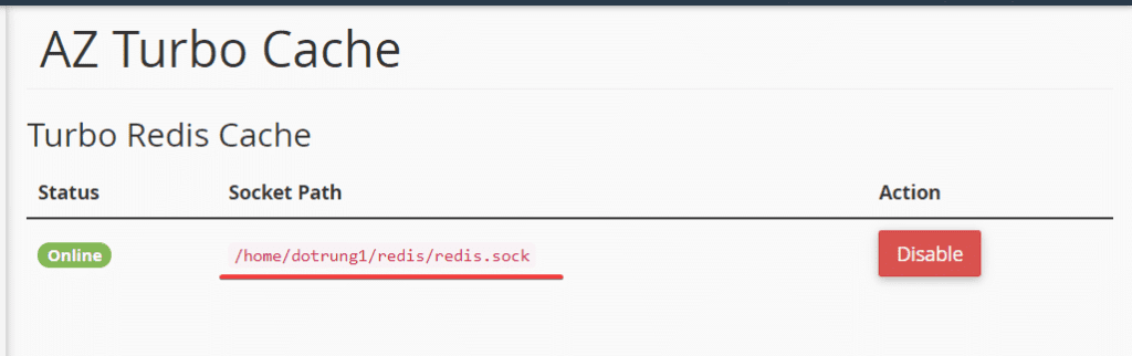 redis socket 3