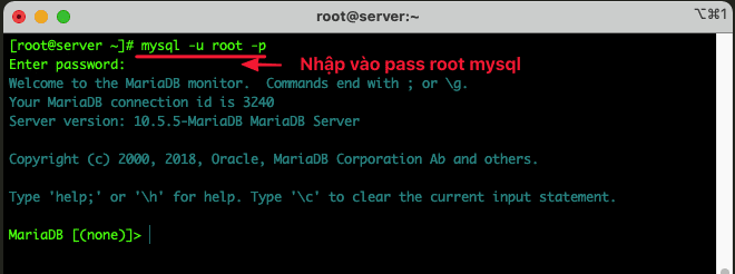 MySQL/MariaDB database management commands.