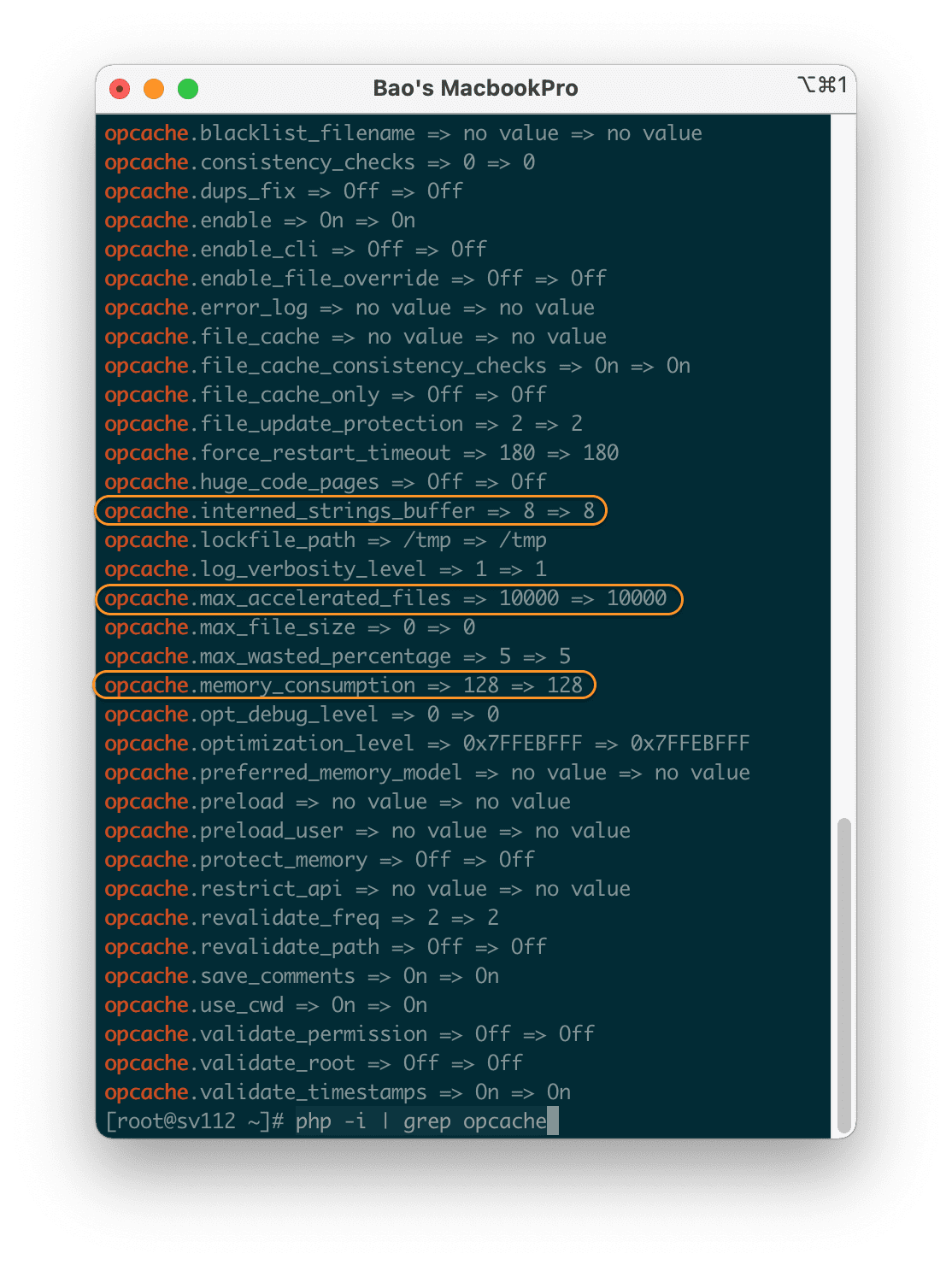 change OPCache parameter on FASTPANEL change config