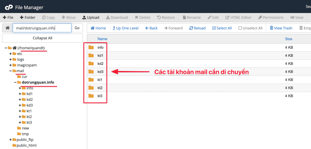 transfer mail data cPanel