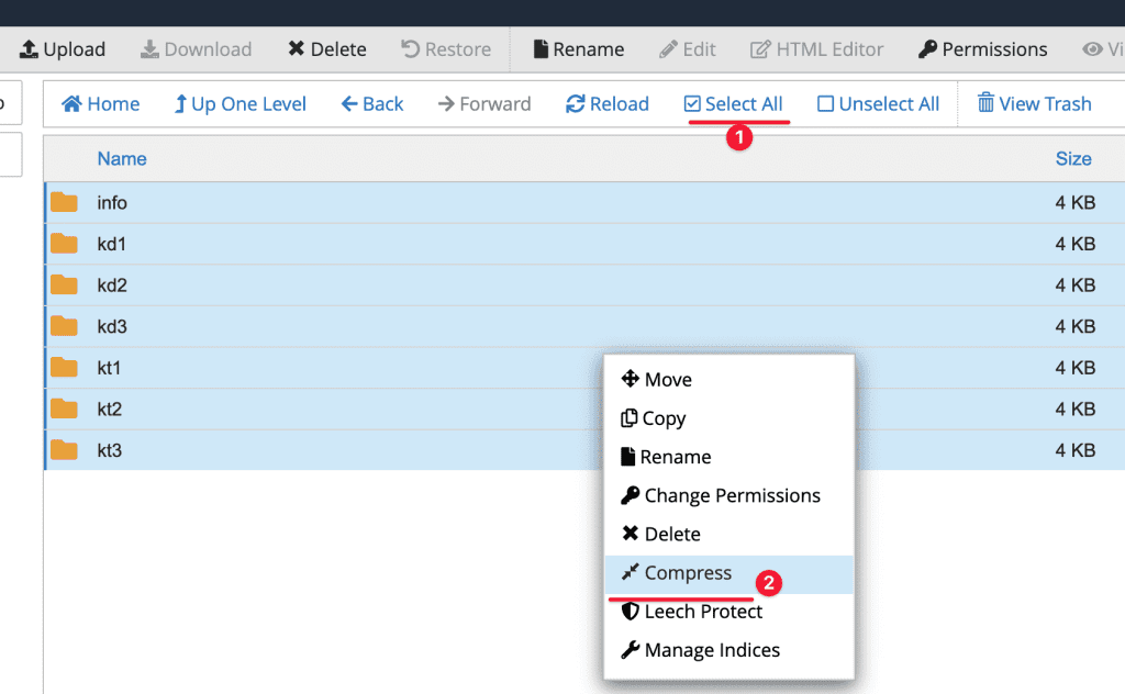 transfer mail data cPanel