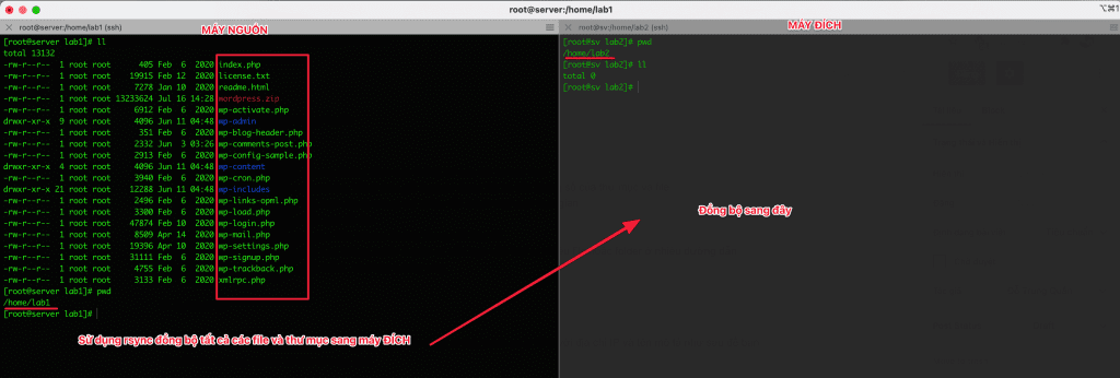 How to use SCP and RSYNC to migrate data on Linux