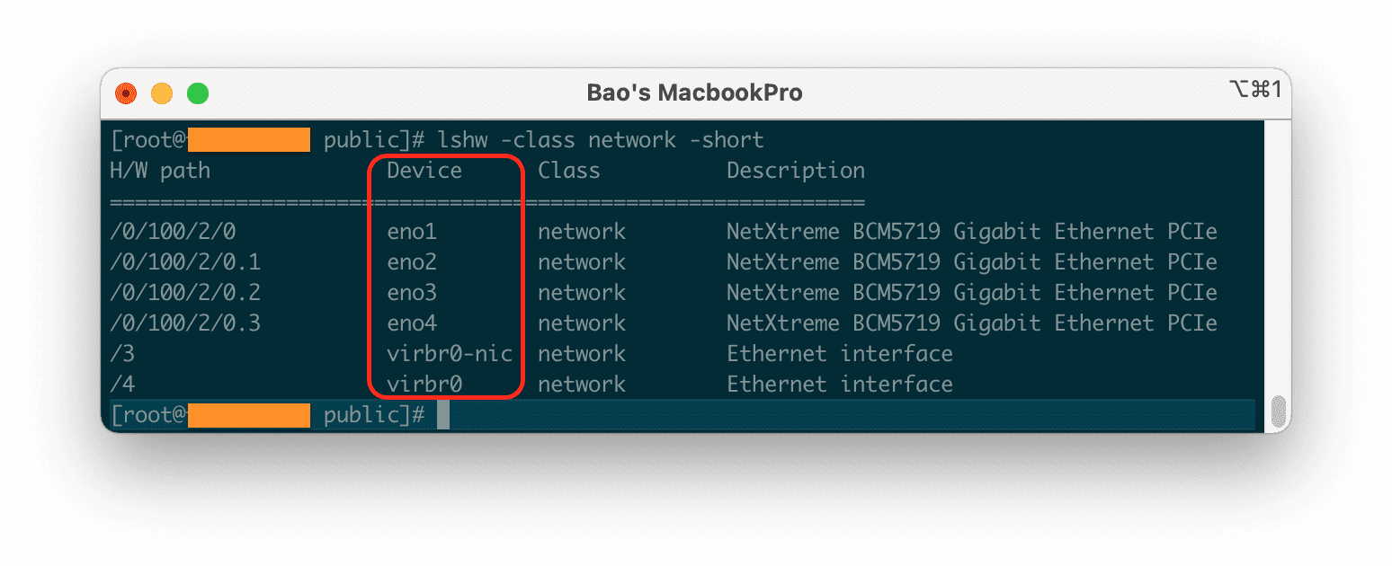 view all devices network server linux