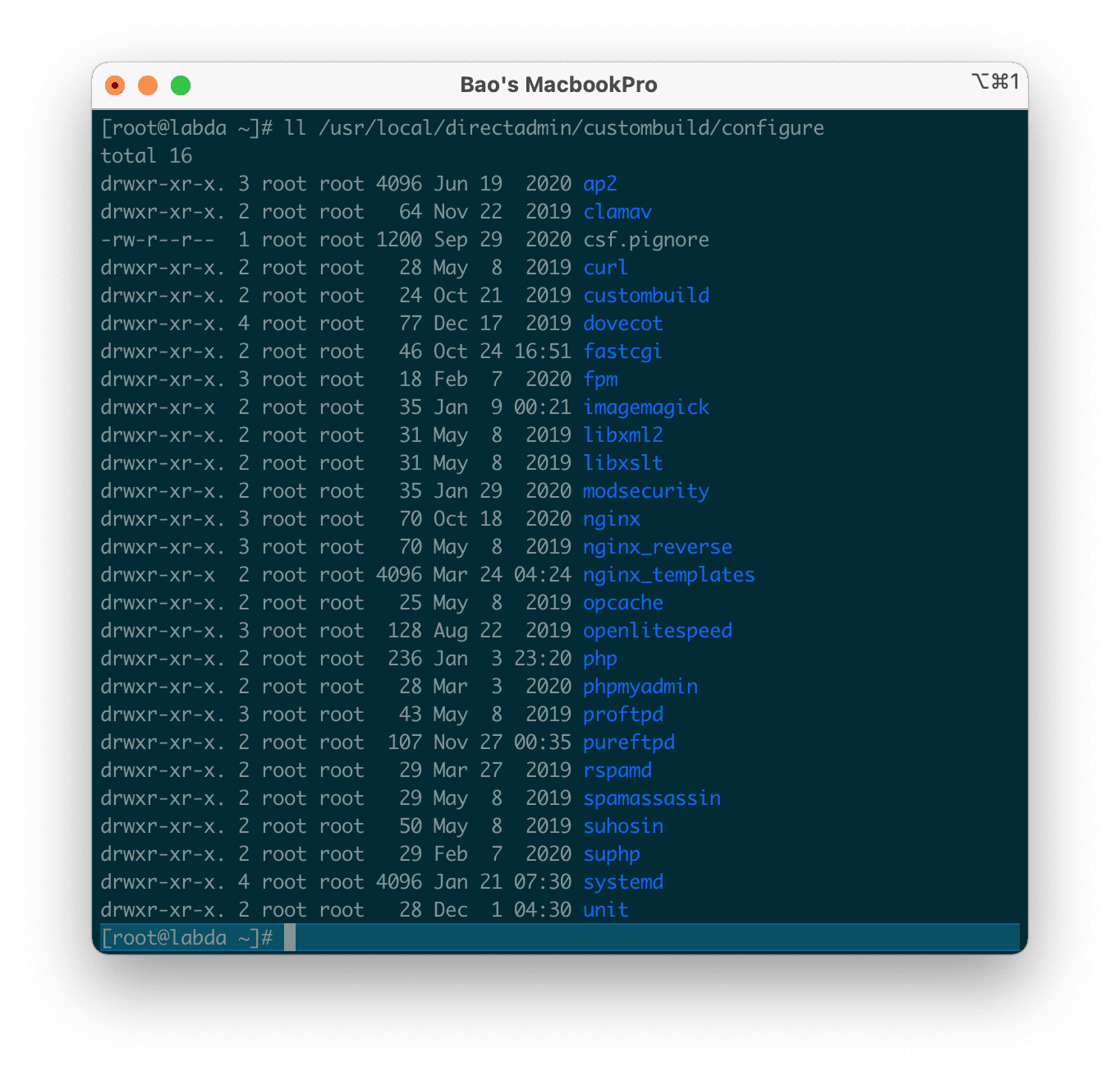 custom-dich-vu-tren-directadmin-config-service