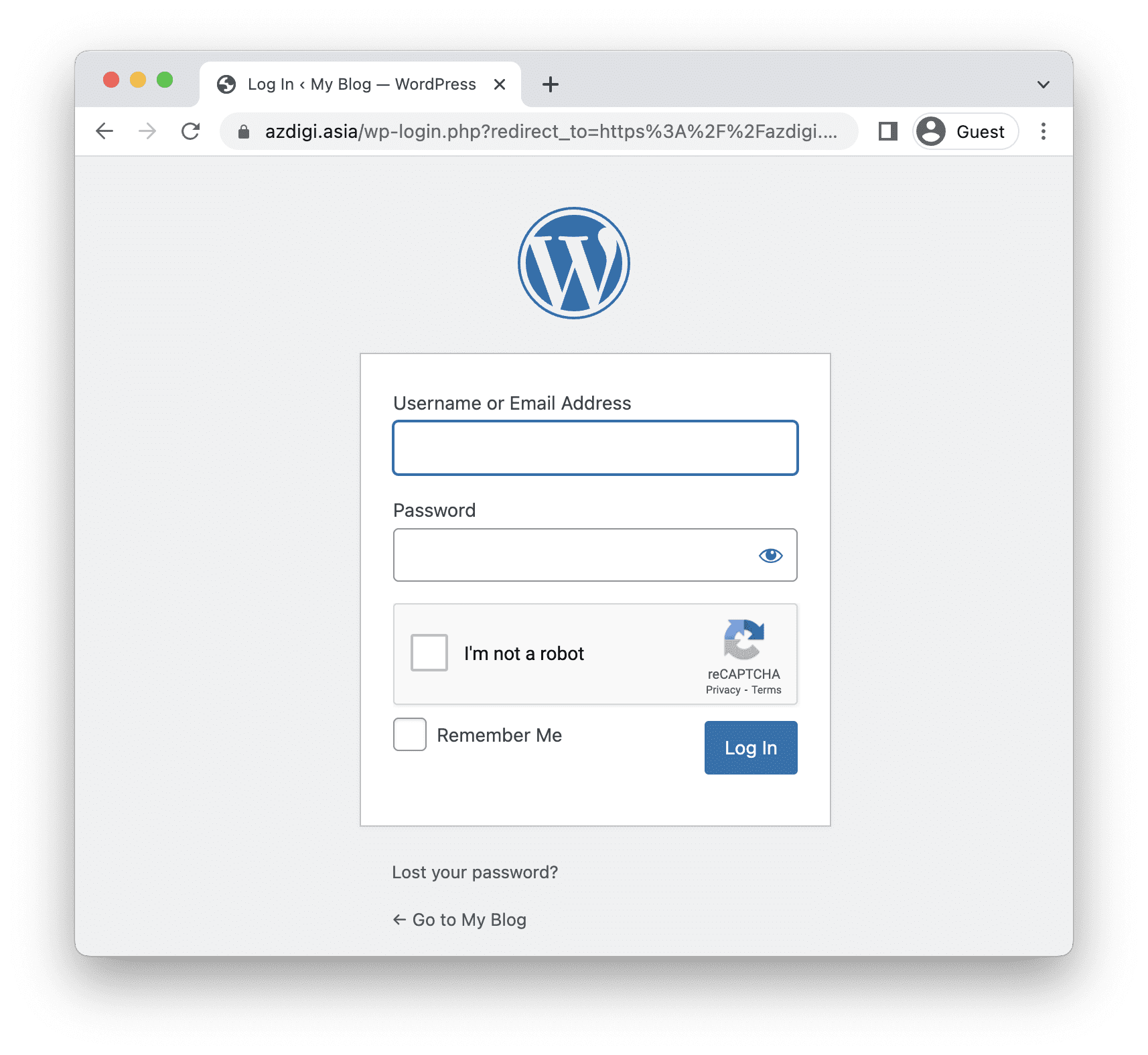 Install and use reCAPTCHA on WordPress.