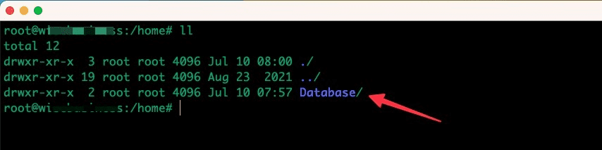 Hướng dẫn Dump Database từ Container trên Docker