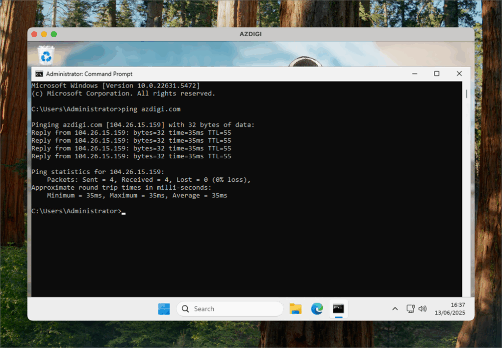 Hướng dẫn sử dụng Ping và Tracert