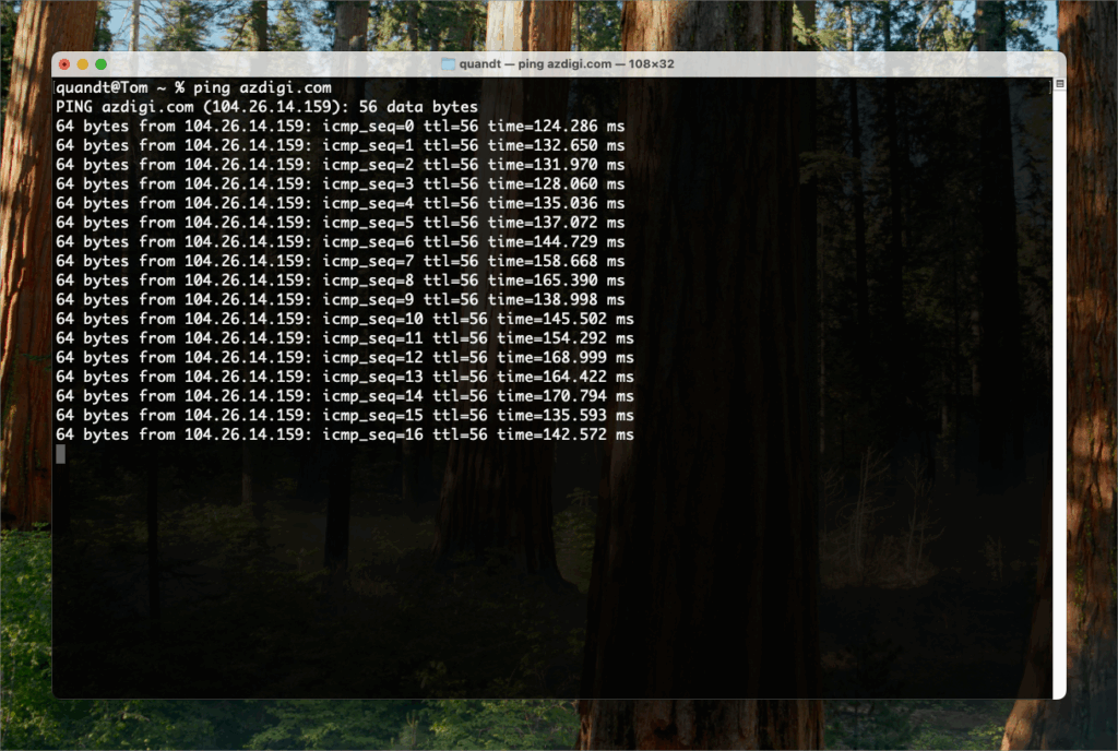 Hướng dẫn sử dụng Ping và Tracert